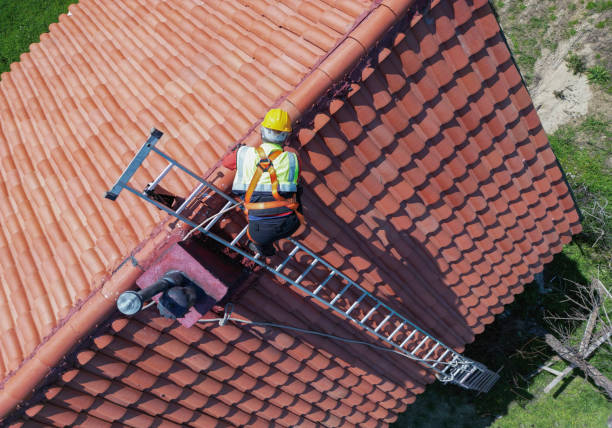 Roof Moss and Algae Removal in Gardiner, ME